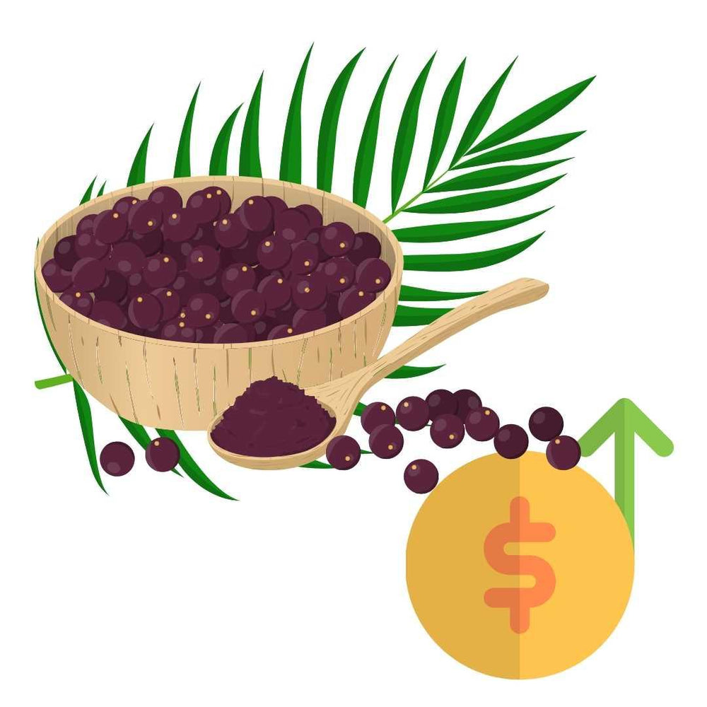 Why is Acai so expensive?
